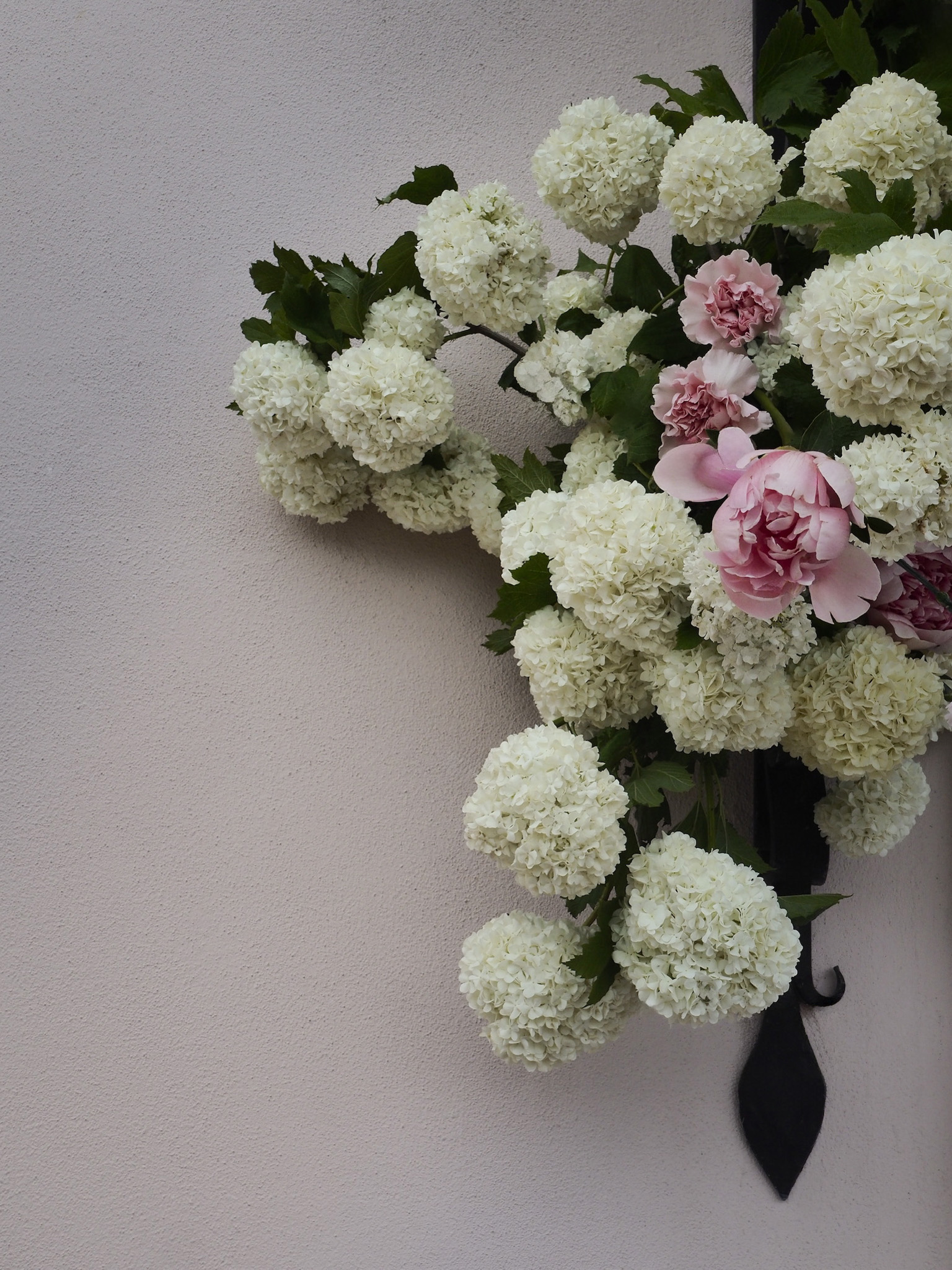 Pino Flowers promo