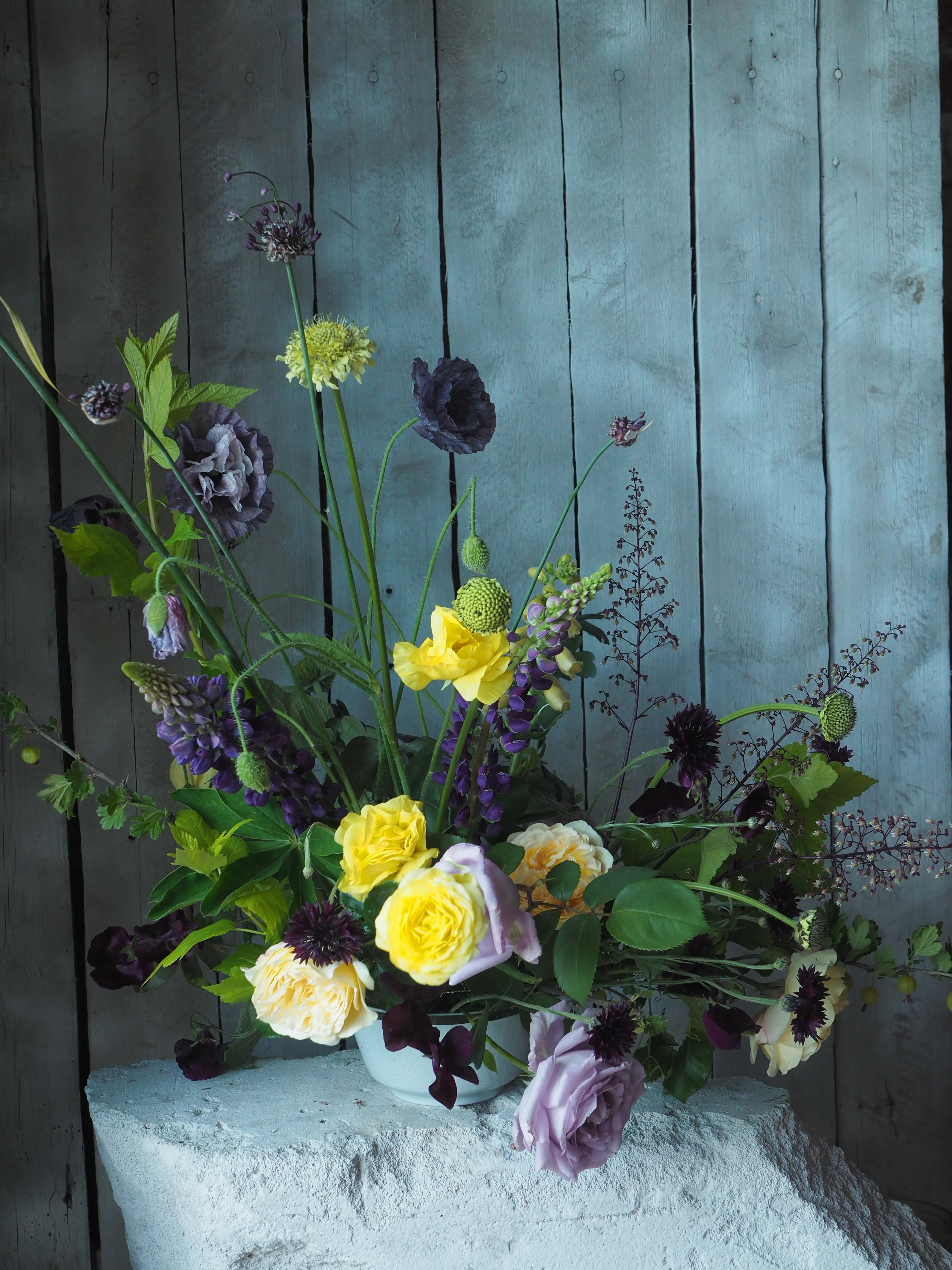 Pino Flowers promo