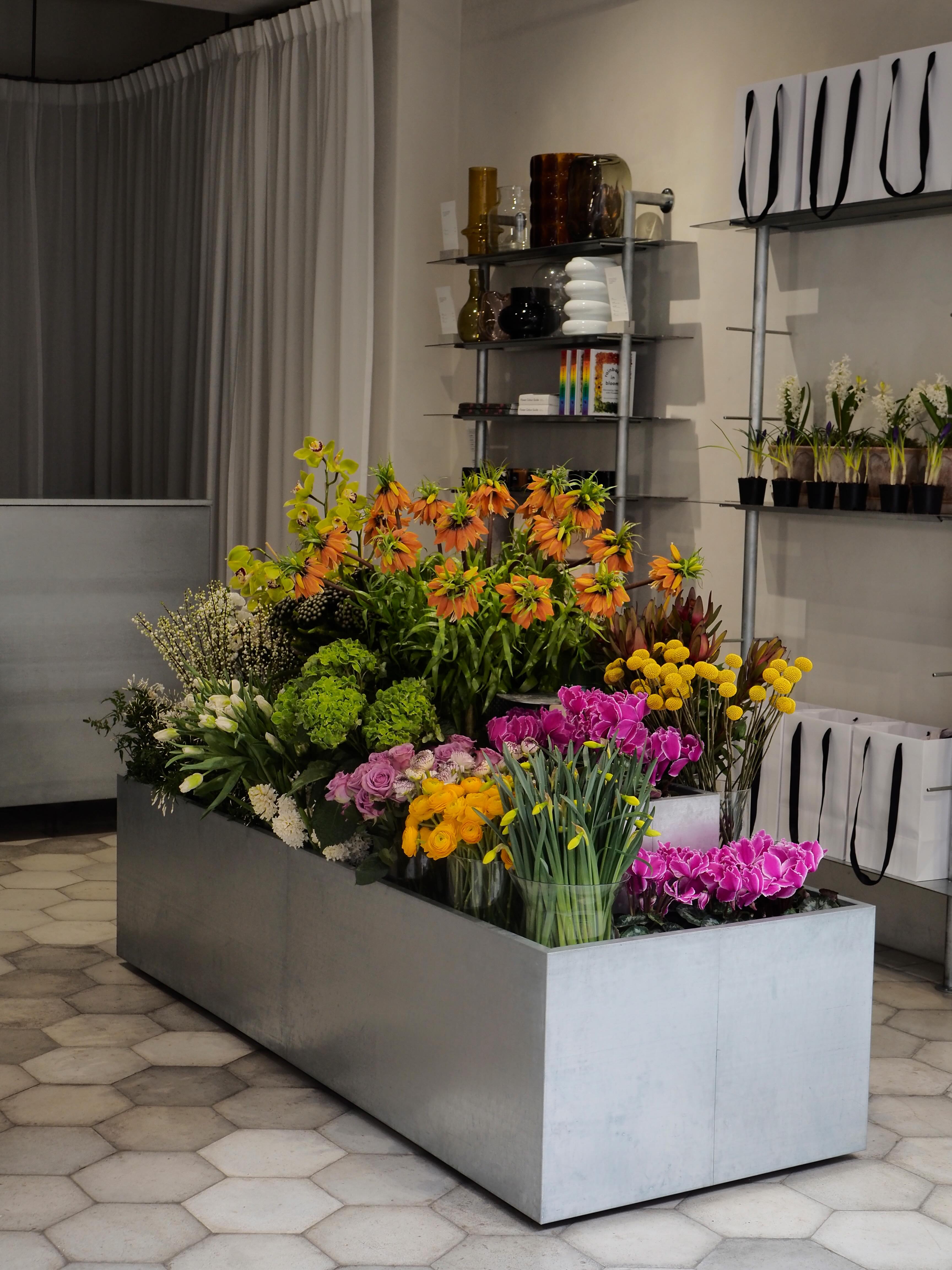 Pino Flowers promo