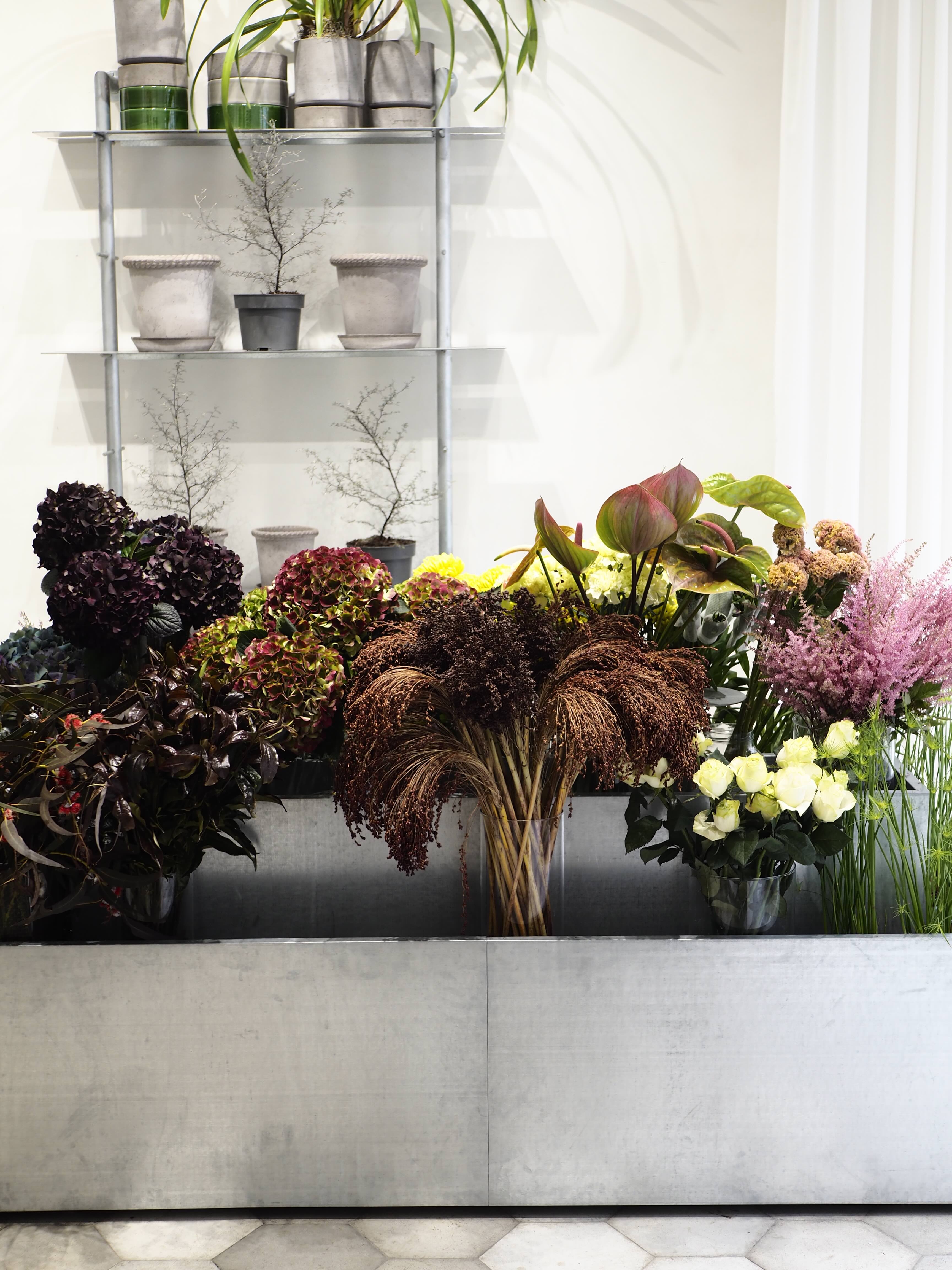 Pino Flowers promo