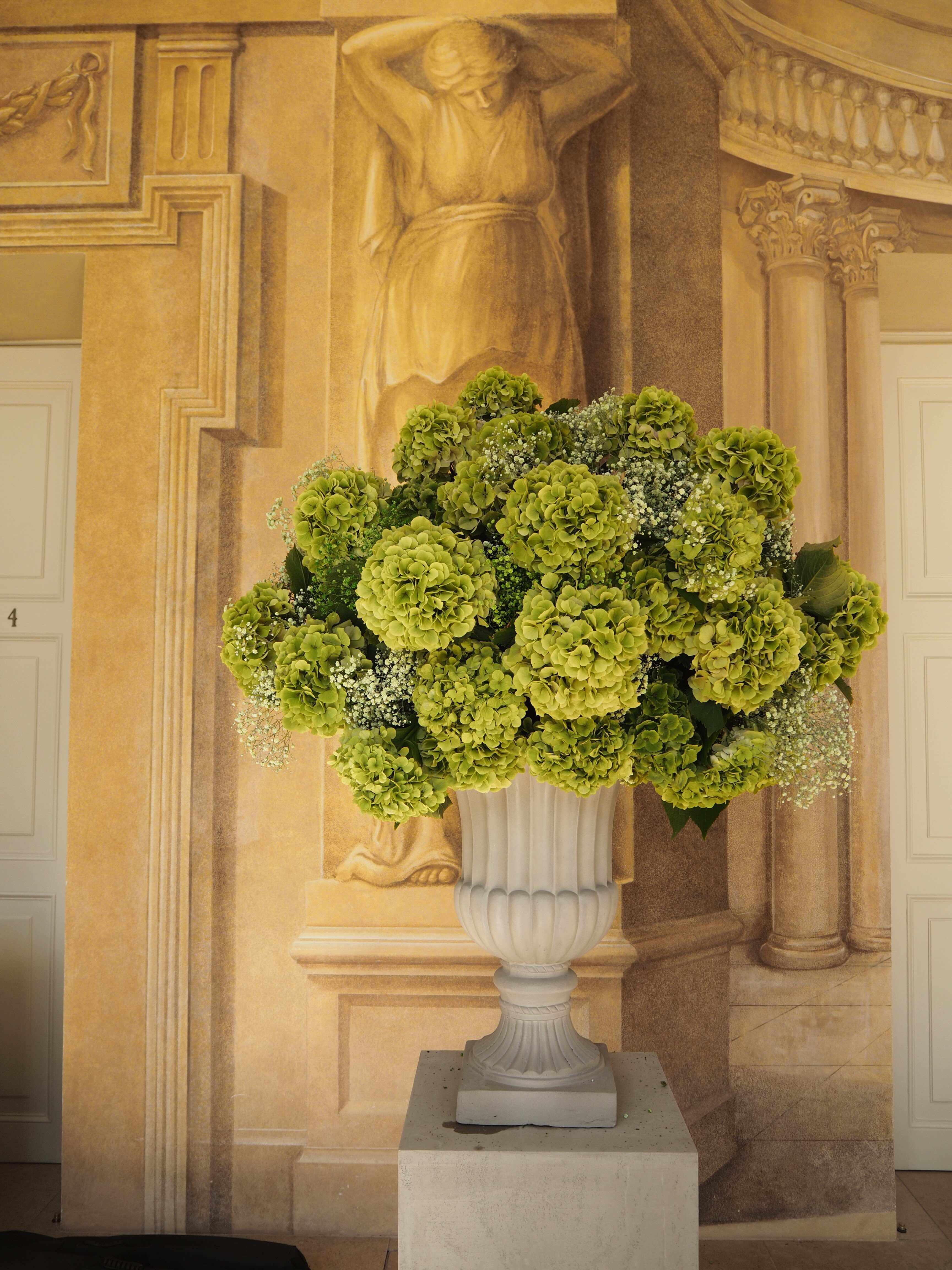 Pino Flowers promo