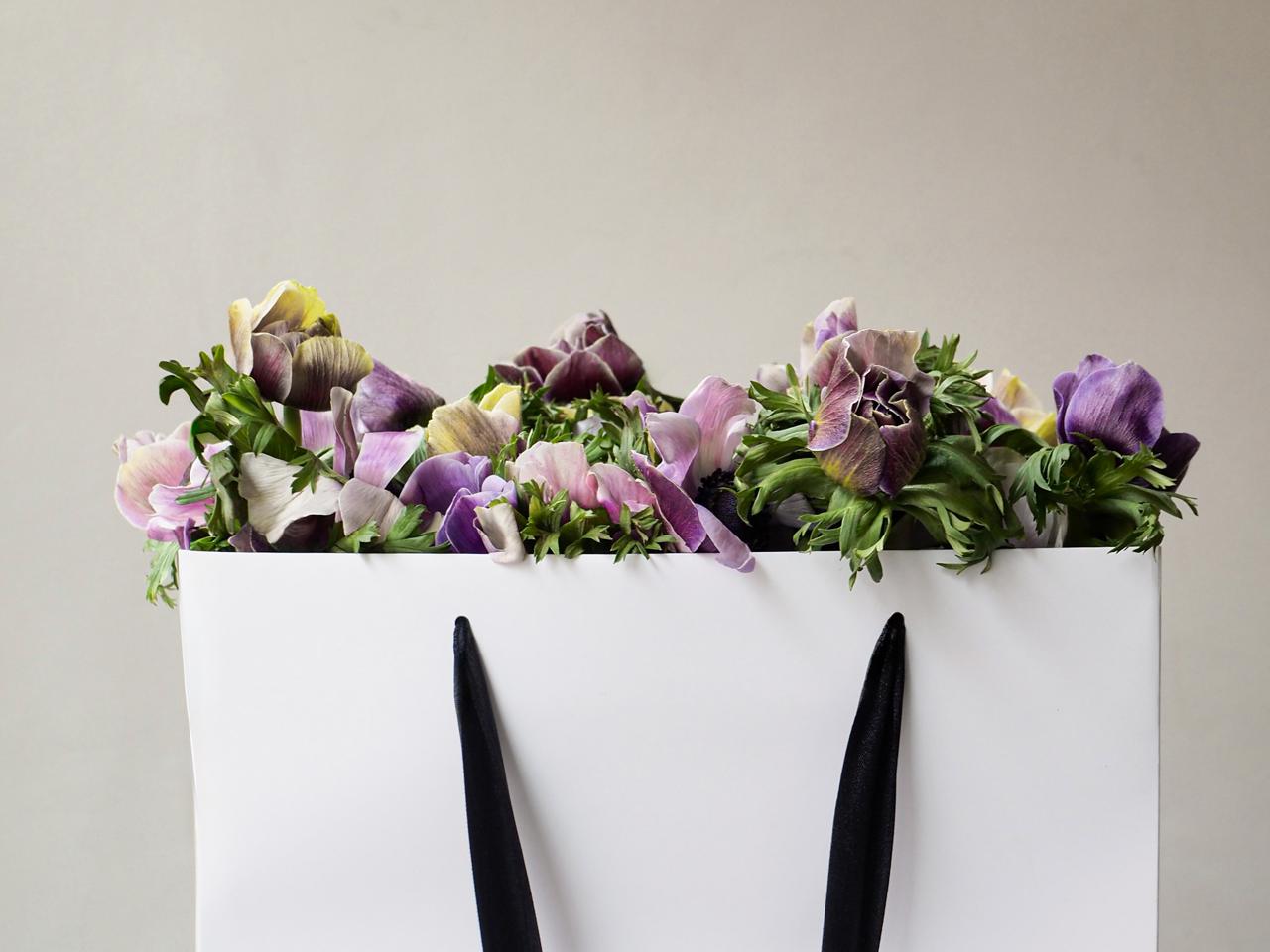 Pino Flowers promo