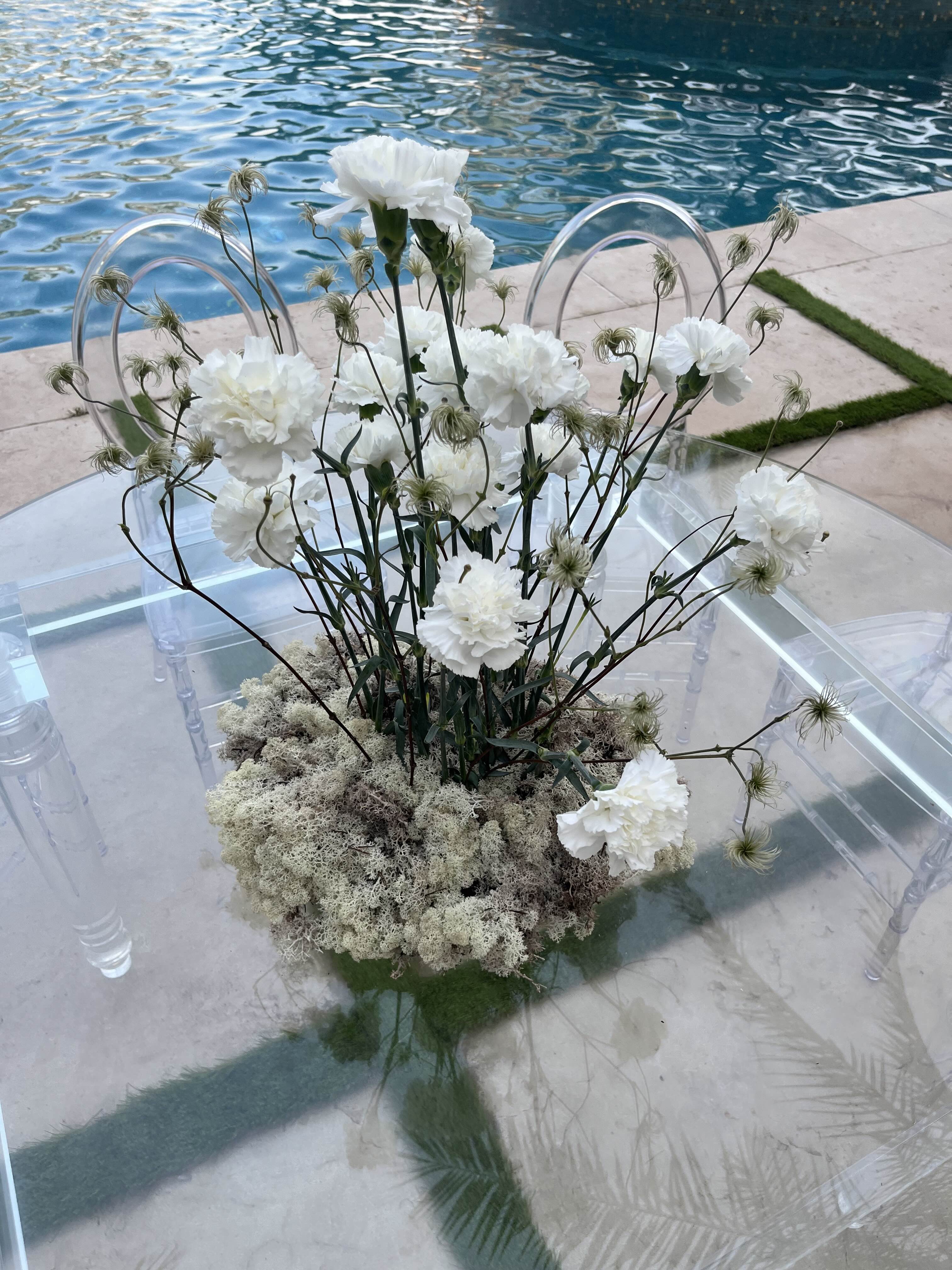 Pino Flowers promo