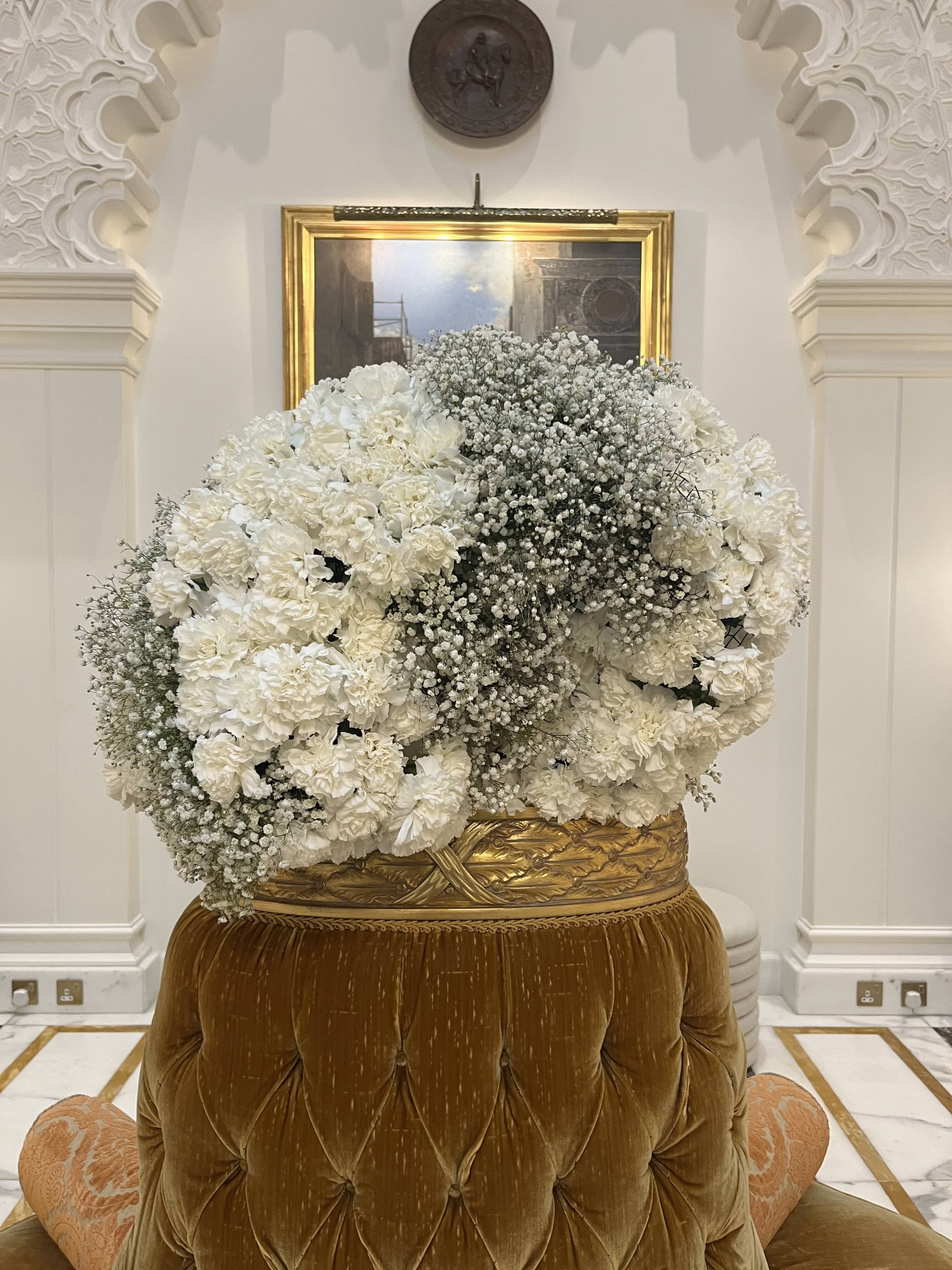 Pino Flowers promo