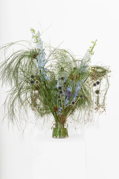 Pino Flowers promo